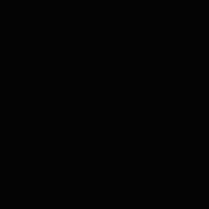 Meet your Posher, Roselyn